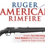 Ruger 8301 American Rimfire 22LR Reviewed