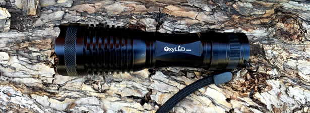 OxyLED MD50