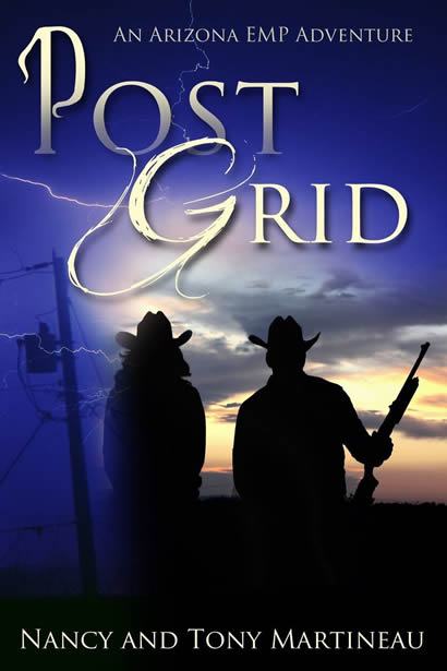 Post Grid Book Reviewed