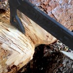 Estwing Black Eagle Tomahawk Reviewed