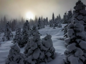 winter hammocking