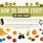 How to Grow Fruit Year-round