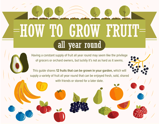 How to Grow Fruit Year-round