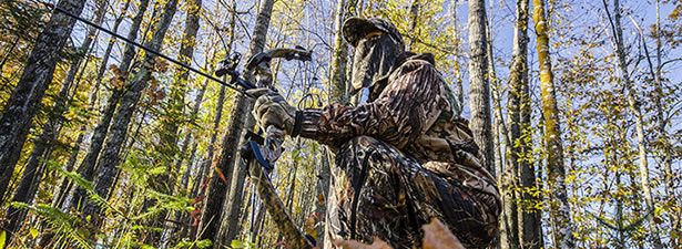 top 7 bow hunting for survival top secrets revealed by experienced bow hunters