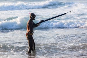 heading into the water to go spearfishing