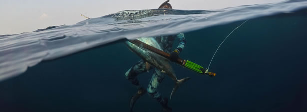 Spearfishing - Choosing the Right Speargun - The Fishing Website